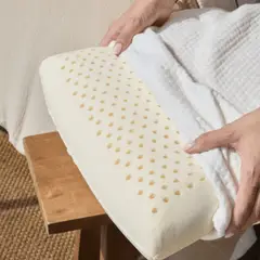 CLAUDIA RIVA HOME - Almohada de Latex con relleno de Latex