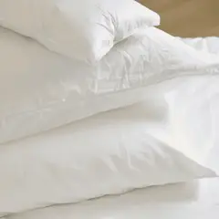 CLAUDIA RIVA HOME - Almohada de Pluma King