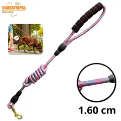 GENERICO - CORREA RESISTENTE PARA MASCOTAS - PERRO FUCSIA CON CELESTE