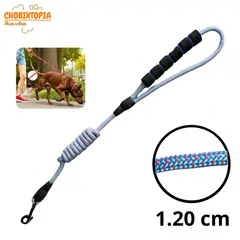 GENERICO - CORREA RESISTENTE PARA MASCOTAS - PERRO CELESTE CON FUCSIA