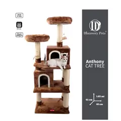 DISCOVERY PETS - GIMNASIO ARBOL PARA GATOS - MULTINIVEL