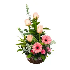 D'AMOUR - Box Rosas Y Gerberas Escarchado