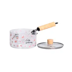 GENERICO - OLLA DE BOROSILICATO CON MANGO