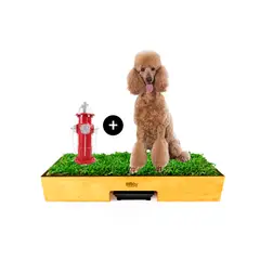 GENERICO - Sanitario de Pasto Natural con Drenaje + Hidrante para Perros Macho - Talla L