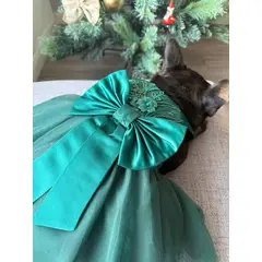 GENERICO - Vestido para perrito verde Chloe Talla 0