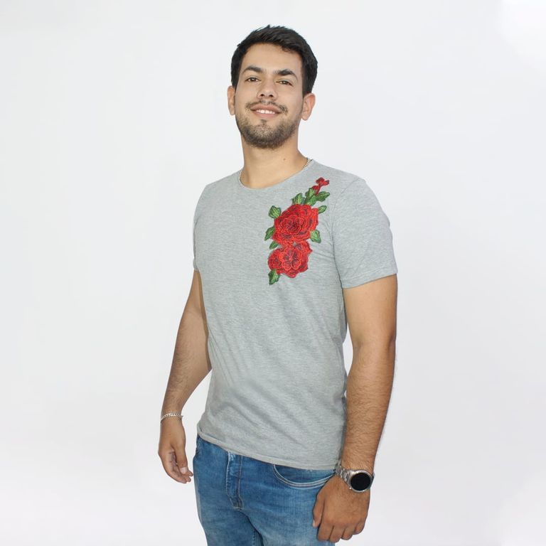Polo Dexmen Rosa Regular Fit