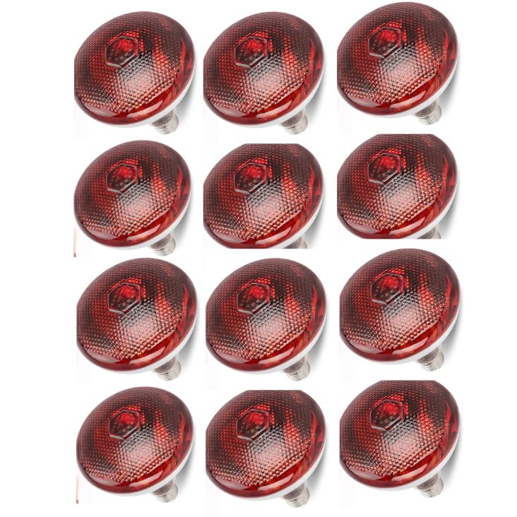 Pack de12 Focos Infrarrojos Calefacción Para Cerdos Perros Pollos 250w