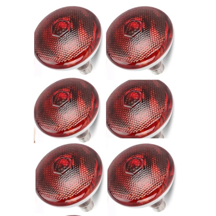 Pack de 6 Focos Infrarrojos Calefacción Para Cerdos Perros Pollos 250w