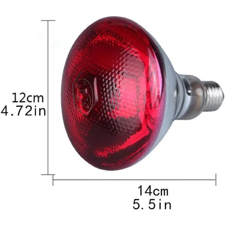 Pack de 4 Focos Infrarrojos Calefacción Para Cerdos Perros Pollos 250w