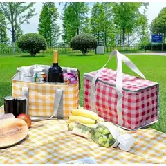 GENERICO - BOLSO TÉRMICO PARA PICNIC