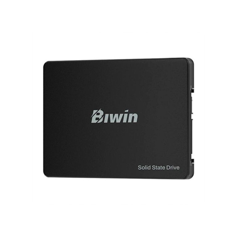 Disco Sólido SATA 256 GB Biwin M100