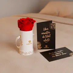 AIROSA - Rosa Preservada Mini - Roja Natural Box Cilíndrico