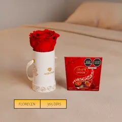 AIROSA - Rosa Preservada Mini - Box Cilíndrico + Chocolates Lindt x4