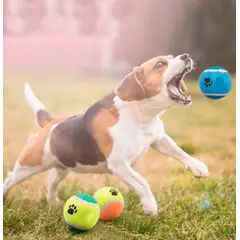 GENERICO - PELOTA DE TENIS PARA MASCOTAS - Juguete Resistente para Lanzar y Buscar