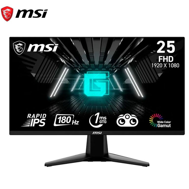 Monitor G255F 24.5" FHD 180 Hz 1 ms Rapid IPS PLANO