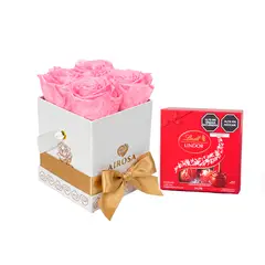 AIROSA - Rosas Preservadas Divina - Box x4 Rosado + Chocolates Lindt