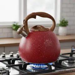 GENERICO - TETERA SILBADORA 5.0 L. ROCA VOLCANICA