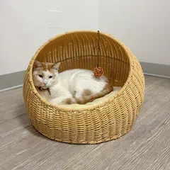 QHALITECH - CAMA PARA MASCOTAS COLOR NATUTAL DE MIMBRE TEJIDO