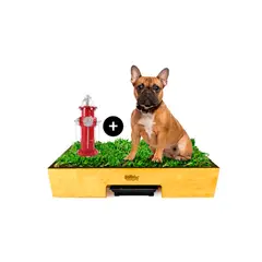 GENERICO - Sanitario de Pasto Natural con Drenaje más Hidrante para pipí - Talla M