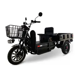 EVERBEST - Trimoto Carga Eléctrica Otorongo Plus 72v-20ah Lithium