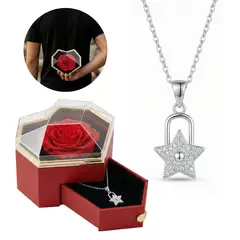 GENERICO - Collar Candado Estrella Regalo Día De Las Madres + Estuche Rosa Acero Plateado