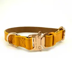 THE PET BRAND - Collar para mascotas - Amarillo talla S regulable de 17cm a 26cm
