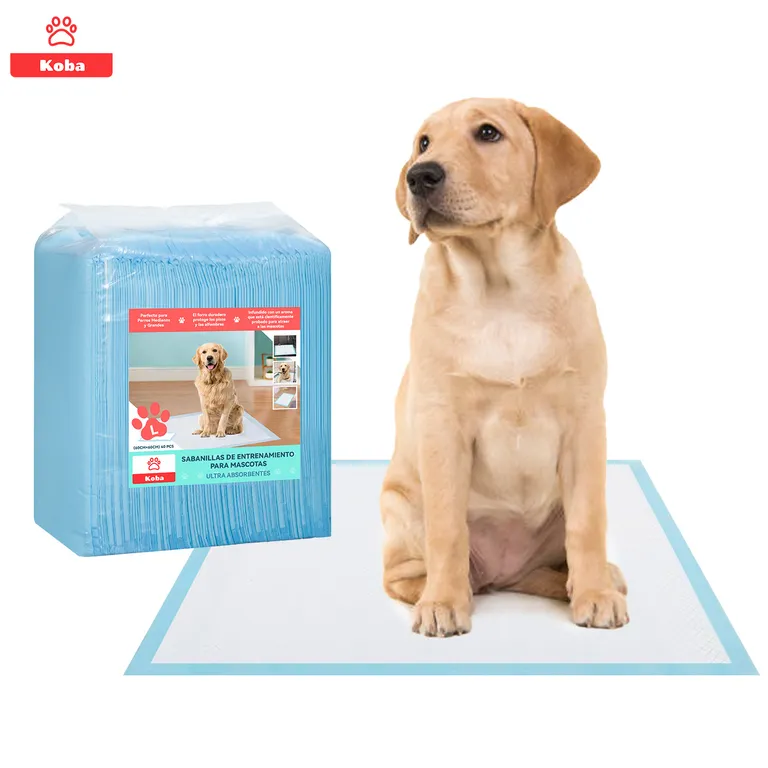80 Pañales Sabanillas Entrenamiento Perro Talla L 60x60cm