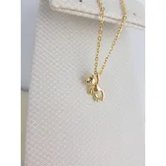 GENERICO - COLLAR MODELO OSO LISO