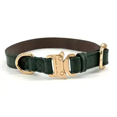 THE PET BRAND - Collar de cuero para mascotas - Verde talla S regulable de 17cm a 26cm