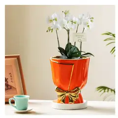 GENERICO - Maceta de Cerámica Naranja con Lazo Dorado