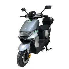GREENLINE - Moto Eléctrica Batería Extraíble Modelo T6 GRIS