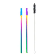 ECOVESSEL - Pack De 2 Cañitas De Acero Inoxidable Con Brocha Color Arcoiris