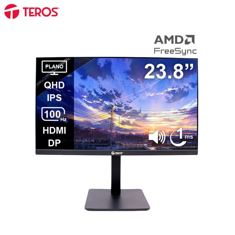 Monitor corp TE-2416CS 238 QHD IPS 100Hz 1ms HDMI DP