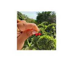 GENERICO - Aretes de Niñas Cirulitas Nena Espinoza Nirvagems MOD1014