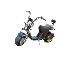 GREEN RIDER - Moto Eléctrica Chopper FX