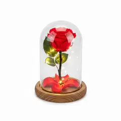 AIROSA - Rosa Eterna - Cúpula de Vidrio Encantada con Luces LED + Tarjeta Premium