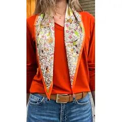 GENERICO - Pañoleta