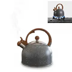 AZZORTI - Tetera 2,5 L de Odun