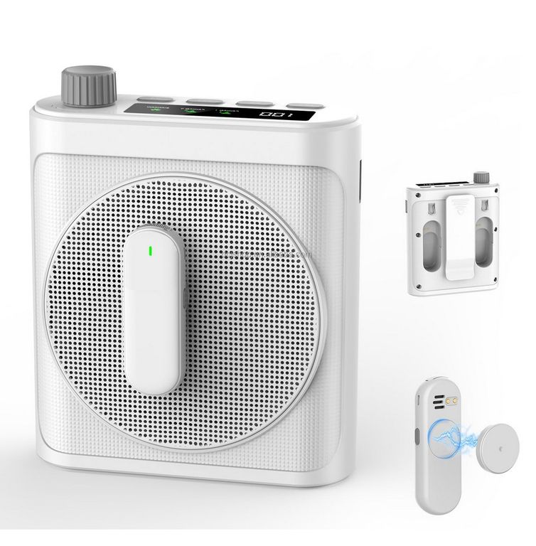 Amplificador De Voz Para Clases - Mp3 Bluetooth - 2 micros Inalambricos