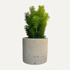 LAR DANIELSEN - Planta artificial con macetero crema - 25 cm