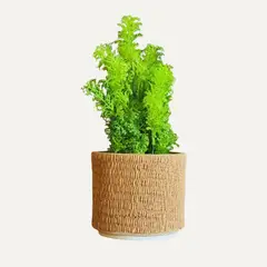 LAR DANIELSEN - Planta artificial con macetero texturizado- 25 cm