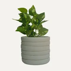 LAR DANIELSEN - Planta artificial con macetero tipo cascada- Potus 33 cm