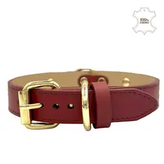 PERRY JHAN - Correa Collar Para Mascotas de Cuero - Talla XXL