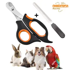 GENERICO - CORTAUÑAS TIJERA Y LIMA GATOS Y PERROS-MASCOTA NARANJA NUNBELL BORDE