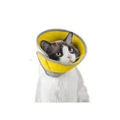 IDEAS PERFECTAS - Collar Isabelino Amarillo Sunny - Talla L