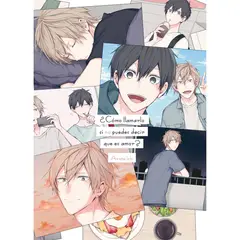 ARECHI EDITORIAL - Manga Como Llamarlo si no puedes decir que es amor Tomo Único