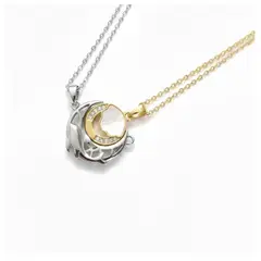 GENERICO - Cadenas Magnéticas de Pareja Dije Luna y Delfín Plateado