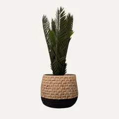 LAR DANIELSEN - Planta artificial artesanal con macetero bicolor - Cica 39 cm.
