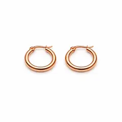 GENERICO - Aros Argolla Acero Inoxidable Rose Gold 1 cm