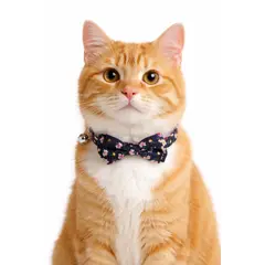 GENERICO - COLLAR PARA GATOS MICHI FLOREADO - AZUL NOCHE